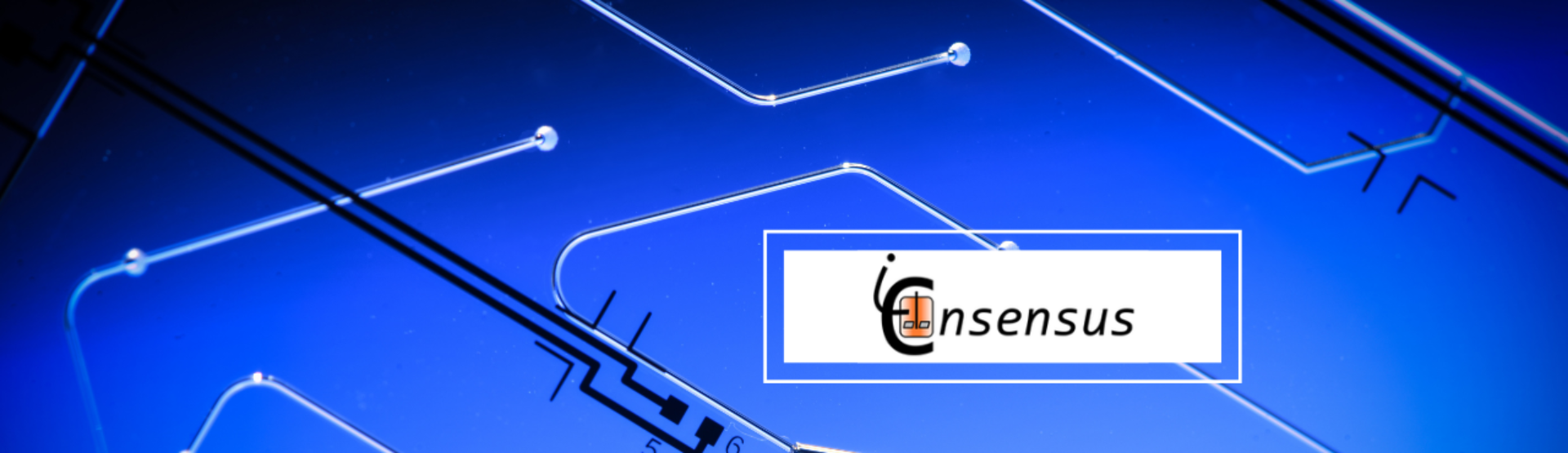 logo iconsensus research project