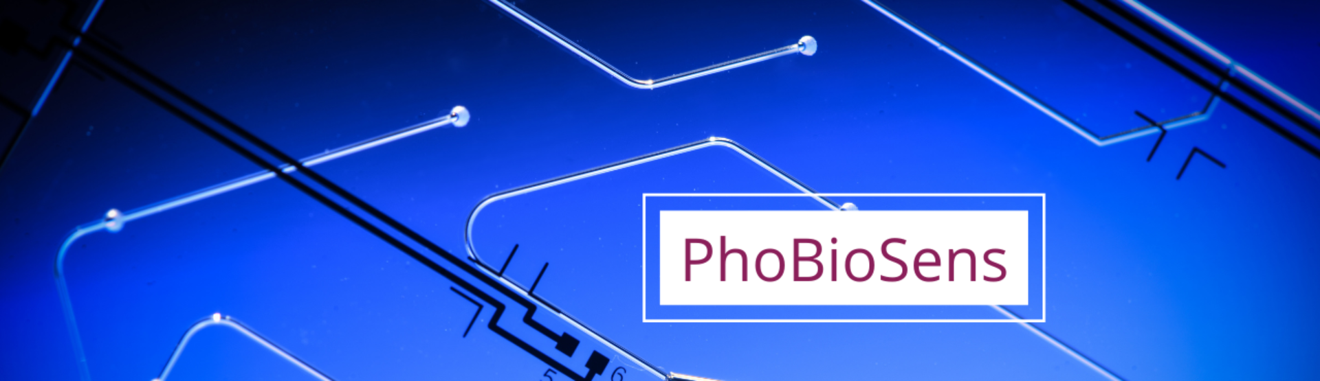 phobiosens research project
