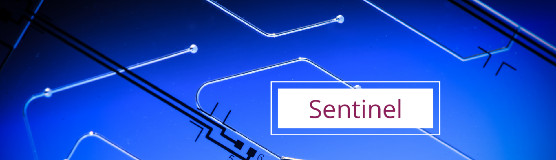 sentinel research project