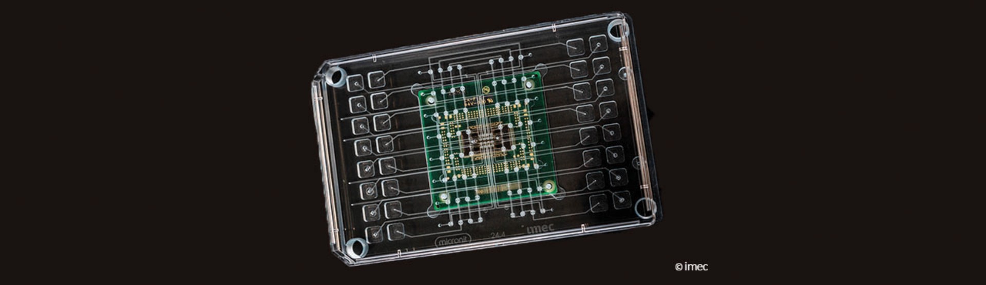 Smart Organ-on-Chip plate for drug testing